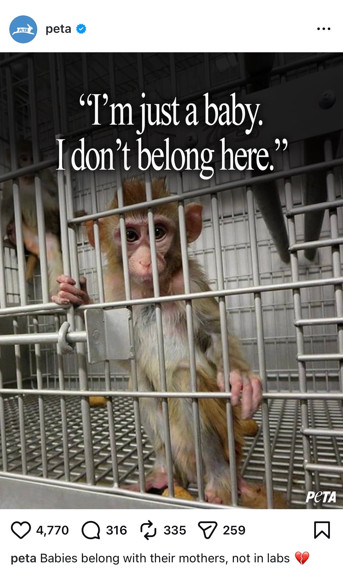 PETA Post