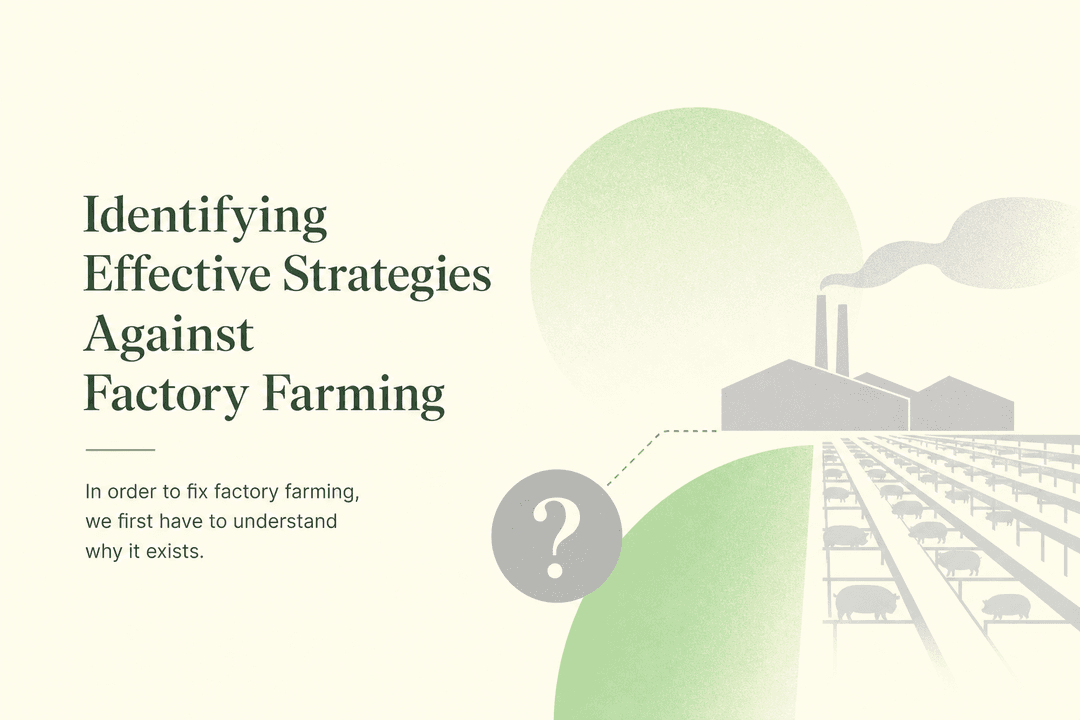 Identifying Effective Strategies Against Factory Farming