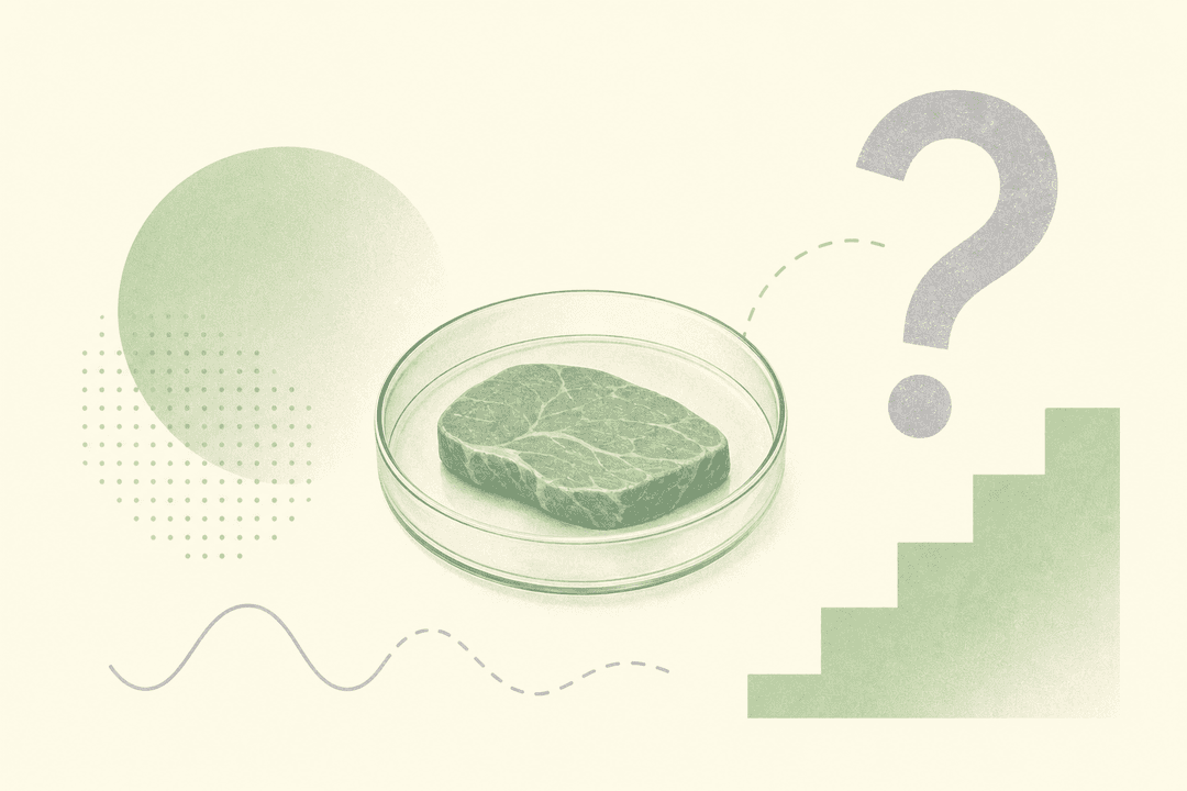 Lab-Grown Meat Might Never Work—But It's Still Worth Trying