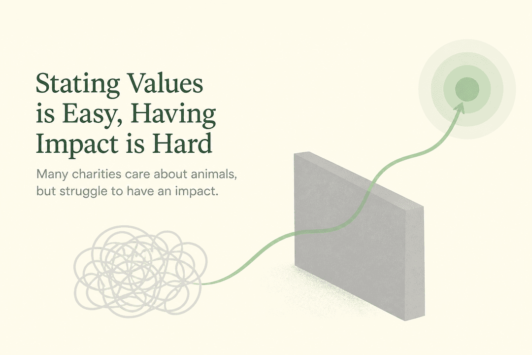 Stating Values is Easy, Having Impact is Hard