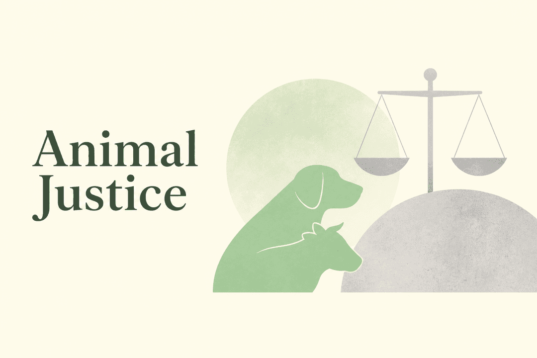 Animal Justice