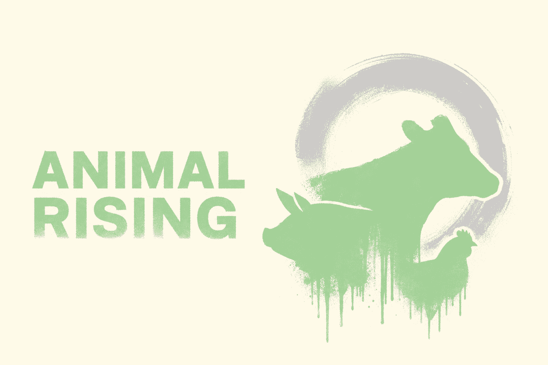 Animal Rising