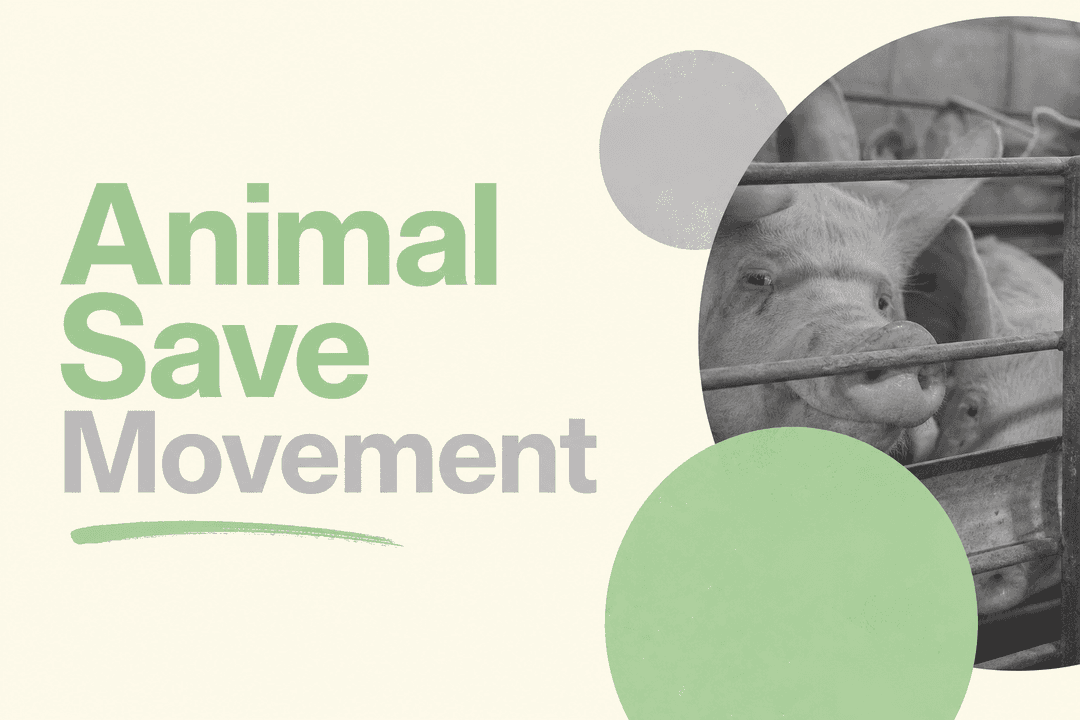 Animal Save Movement