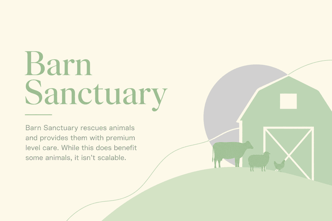 Barn Sanctuary