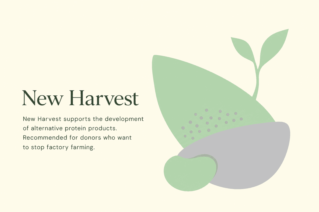 New Harvest