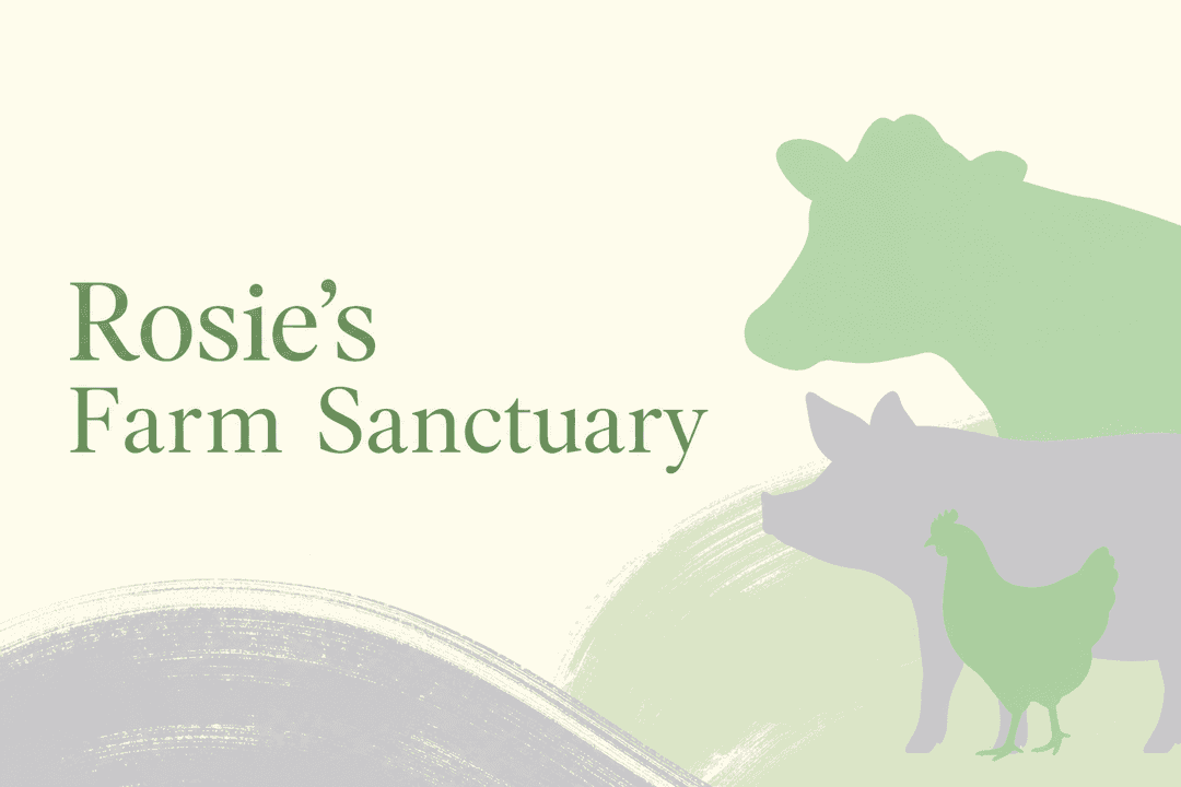 Rosie's Farm Sanctuary