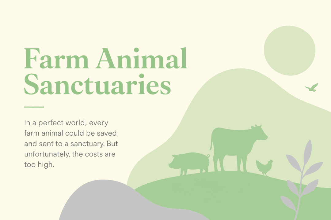 Farm Animal Sanctuaries