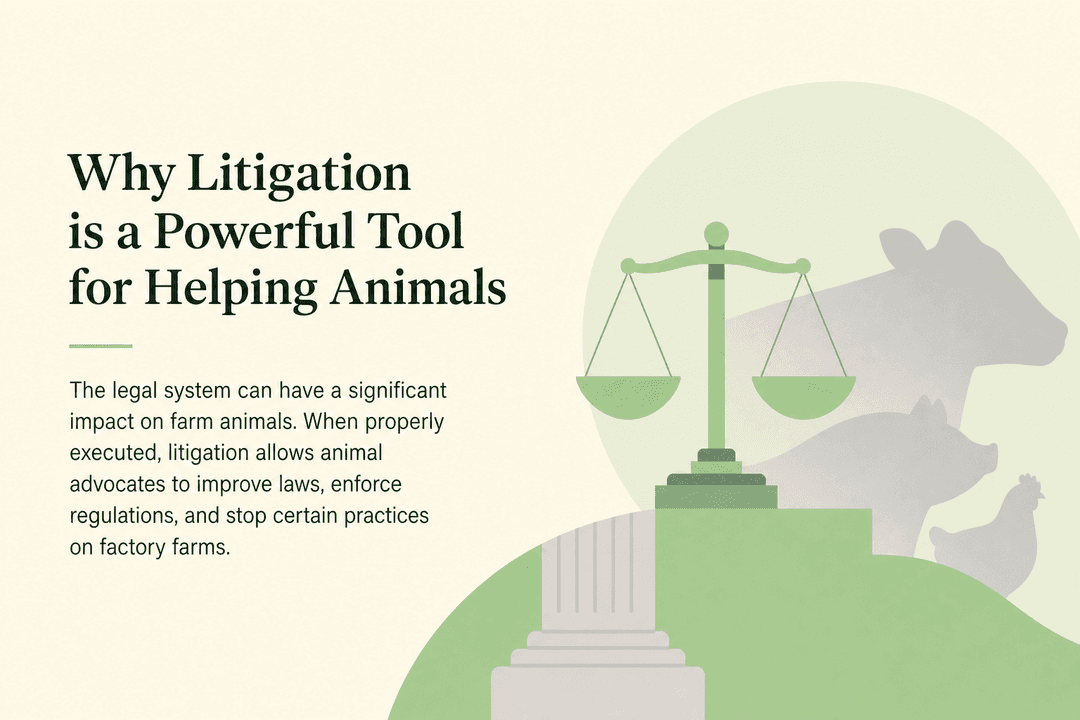 Litigation