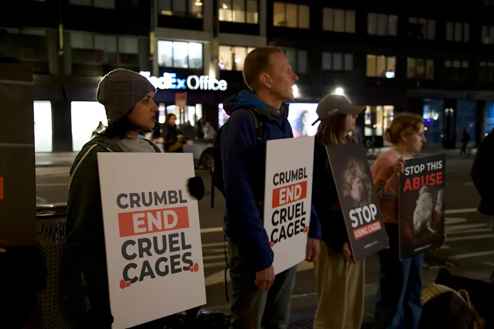 Activists Holding Up Signs