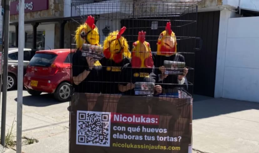 An example of a corporate campaign