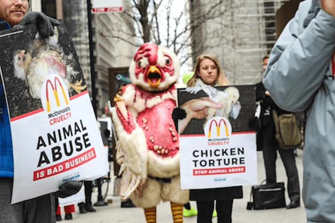MFA Conducting a Corporate Campaign