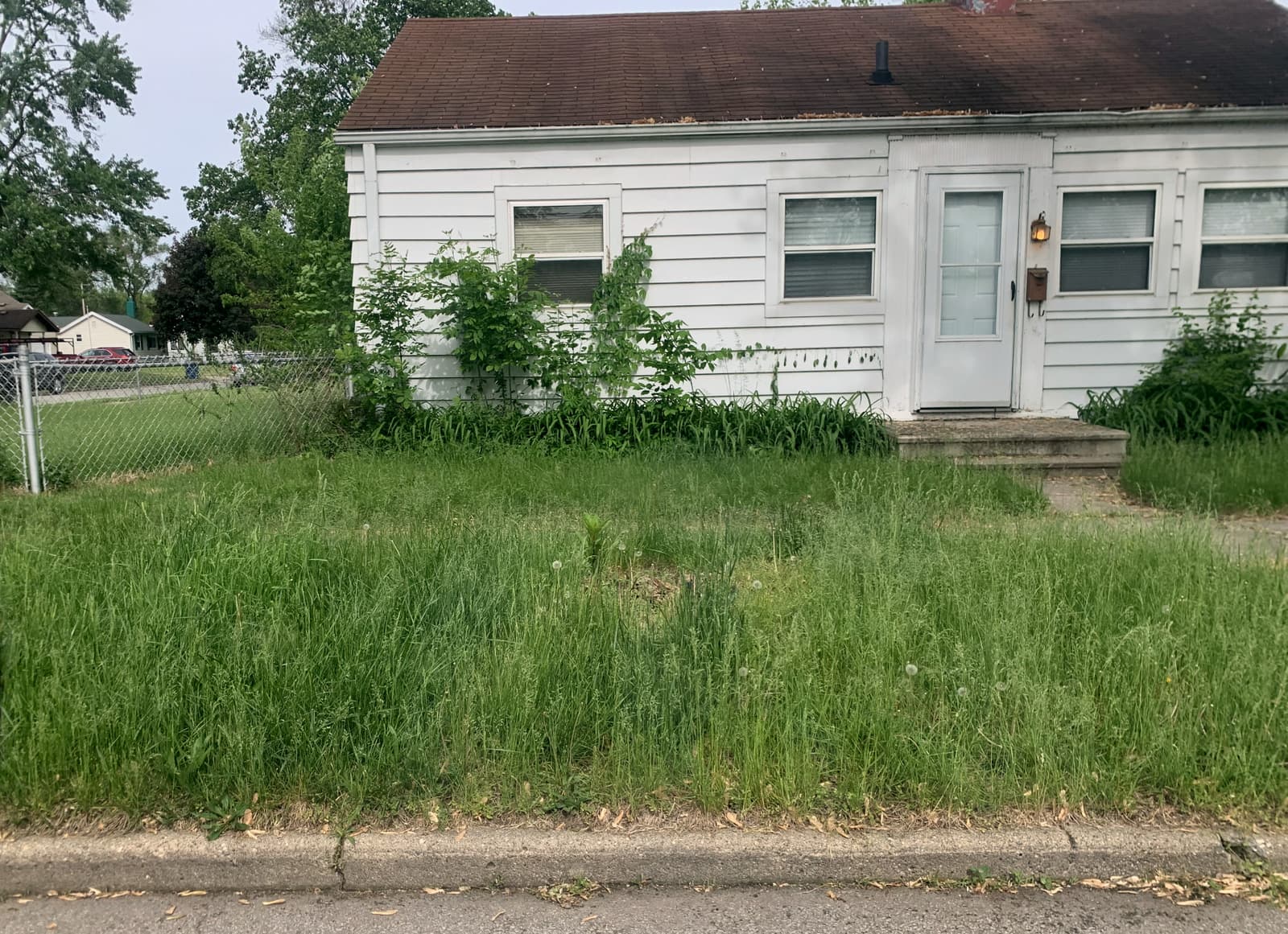 Bad lawn